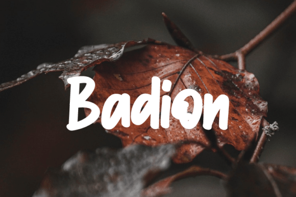 Badion: A Modern and Elegant Typeface for Brand Design