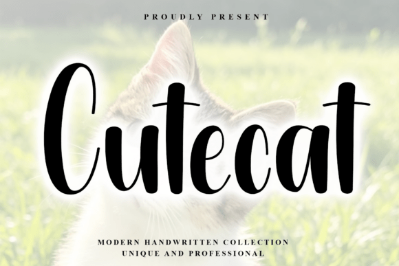 Transform Your Brand with Cutecat: A Modern Handwritten Font
