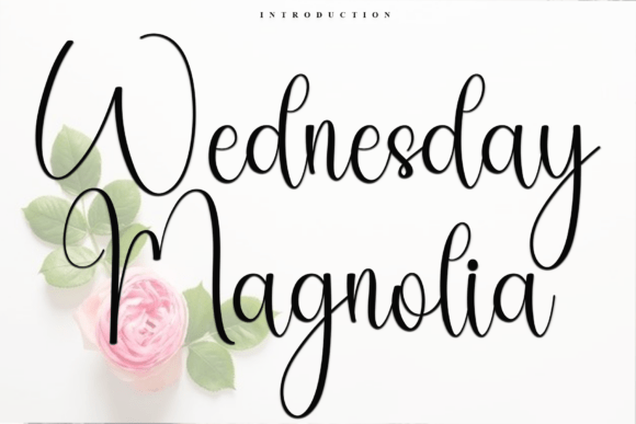 Wednesday Magnolia: A Font for Eye-Catching Campaigns
